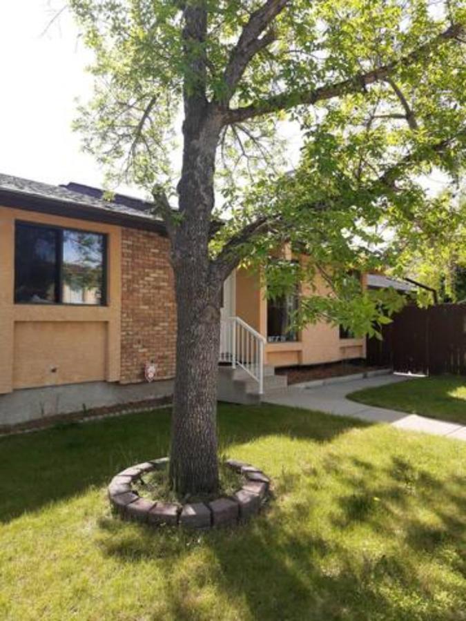 YYC Cozy Home With Comfortable Beds And Fully Equipped Kitchen 15 Mins Drive From Airport, Downtown, Sait And U Of C And 80 Min Drive To Banff מראה חיצוני תמונה